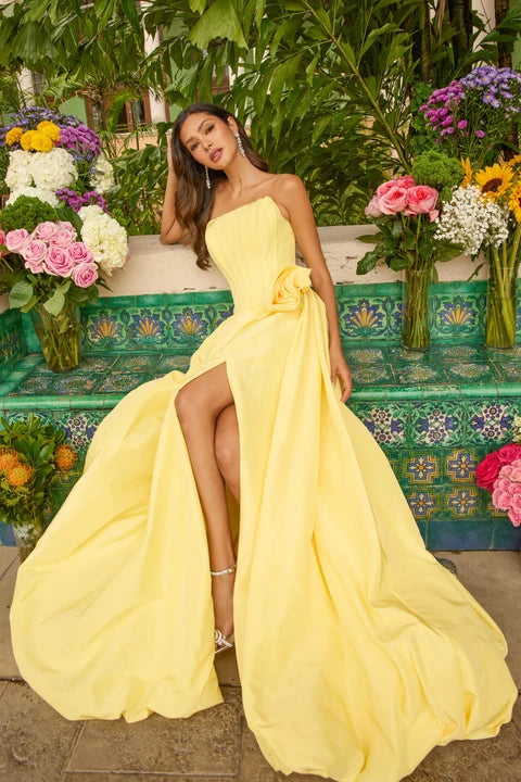 Ava Presley 47204